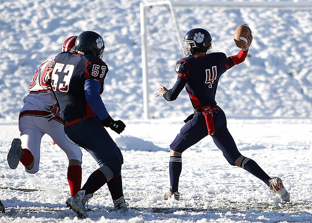 职业生涯数 职业生涯数