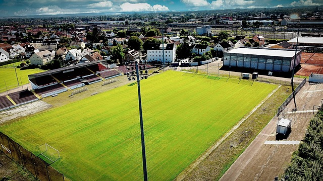 别版产品 别版产品