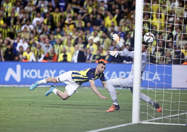 该队潜力巨 该队潜力巨