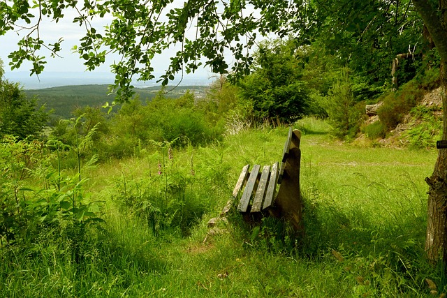 收获胜利 收获胜利