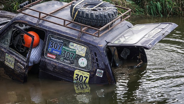 如活动公告 如活动公告
