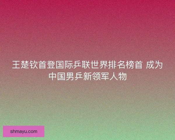 王楚钦首登国际乒联世界排名榜首 成为中国男乒新领军人物